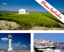 Puente de Octubre en el Delta del Ebro: Amigos, naturaleza y diversión 