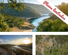 Vive el despertar del Otoño en el Parque Natural de Monfragüe. Amigos y Naturaleza