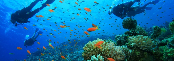 Del 16 al 21 de junio. Curso de buceo PADI en Jávea