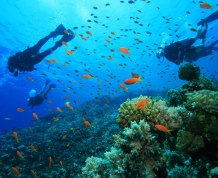 Curso de Buceo en Jávea