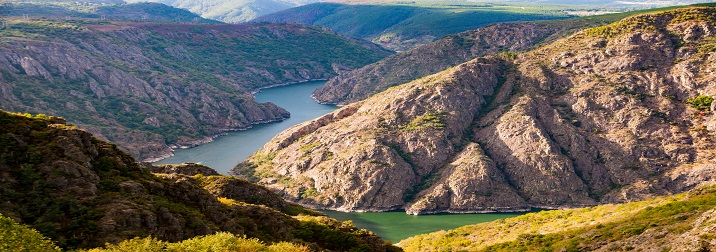 Puente en la Ribeira Sacra