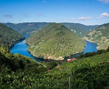 Puente en la Ribeira Sacra