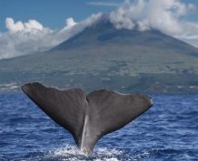 Islas Azores: el secreto mejor guardado del Atlántico