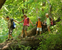 La Selva Negra con niños. Bosques y paisajes de cuento