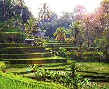 Indonesia-Bali. La isla entre las islas