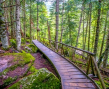 Senderismo y emociones en el Pirineo