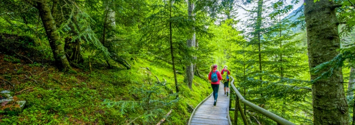 Senderismo y emociones en el Pirineo