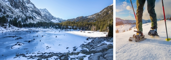 Raquetas de nieve y naturaleza