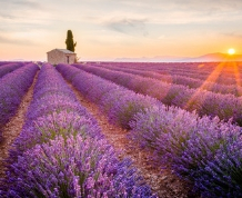 La Provenza Francesa en primavera