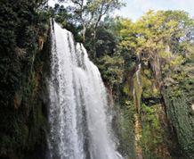 Puente de Mayo en el Monasterio de Piedra y Zaragoza