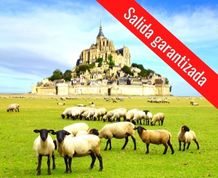 FRANCIA: Mont Saint-Michel y Playas de Normandía. 1 ÚLTIMA PLAZA 