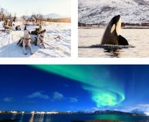 Fin de Año en Laponia ¡En busca de la Aurora Boreal!