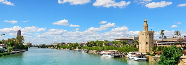 Fin de Año Crucero por Andalucía.