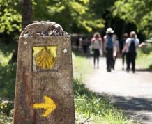 El Camino de Santiago