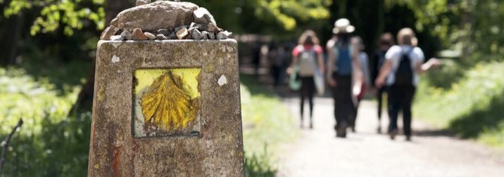 El Camino de Santiago
