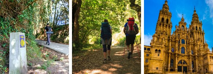 El Camino de Santiago