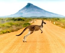 AUSTRALIA: Viaje al otro mundo  