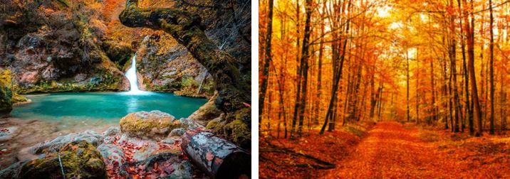 Puente del Pilar: La magia del Otoño en la Selva de Irati y Nacedero del Urederra. ÚLTIMAS 4 PLAZAS